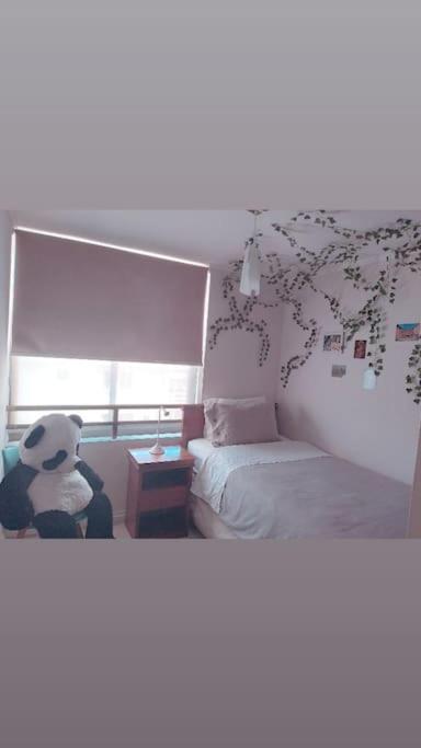 Apartamento Hermoso Depto Primera Linea 3 Concón